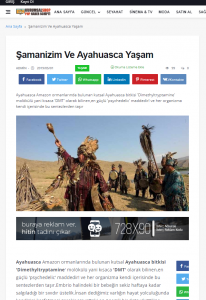 blog-scripti-2019-full-indir-2