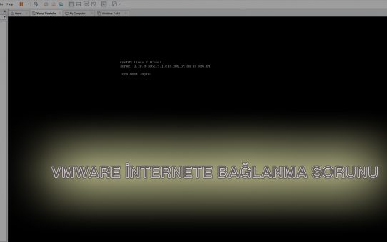 VMware Bridge Modda İnternete Bağlanmıyor